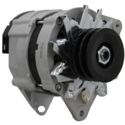 Case - IH 250 Magnum ALT2625180 kintamosios srovės generatorius 14V 65A