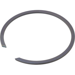 Massey Ferguson 394S 395566X1 žiedas