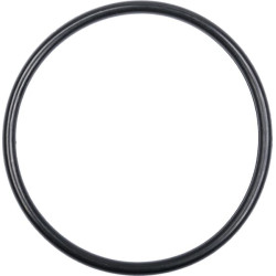 Massey Ferguson 263T 394868X1 žiedas