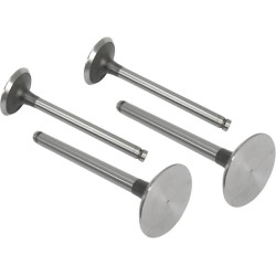 Massey Ferguson 284-4S VPA1100 įleidimo vožtuvas