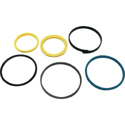 Case - IH 310 87708875 Sandarinimo rinkinys