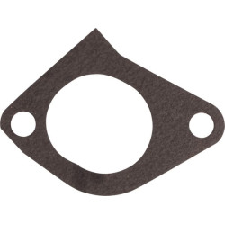 Massey Ferguson 3050 4222916M1 Įleidimo kolektoriaus tarpinė