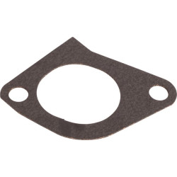 Massey Ferguson 3060 4222916M1 Įleidimo kolektoriaus tarpinė