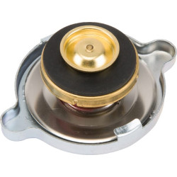 Massey Ferguson 3060 968816M2 Radiatoriaus dangtelis