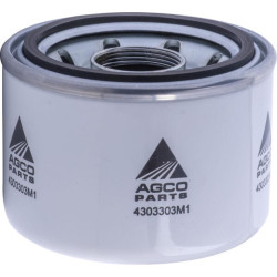 Massey Ferguson 3065 4303303M1 filtro detalė Filtras Saugkorb M