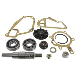 Massey Ferguson 3070 3641333M91 Vandens siurblio remonto komplektas