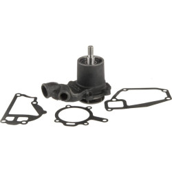 Massey Ferguson 3070 4222002M91 Vandens siurblys