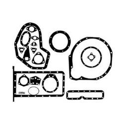 Massey Ferguson TEF20 VPC6000 Dugno tarpiklių komplektas