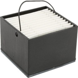 Case - IH Magnum 340CVT - Engine tier 4A, (ES) 2/13-12/14 P954554 Degalų filtro dėžė