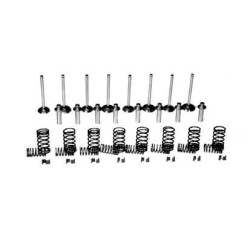 Vožtuvų komplektas Massey Ferguson 1080 VPA6007