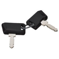 Massey Ferguson 2430 3540163M91 uždegimo raktelis