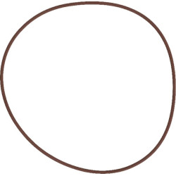 Massey Ferguson 3350 215391770 stabdžių O žiedas