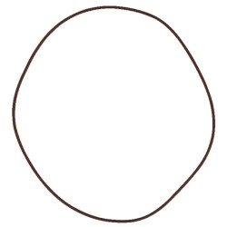 Massey Ferguson 3455 215391180 stabdžių O žiedas