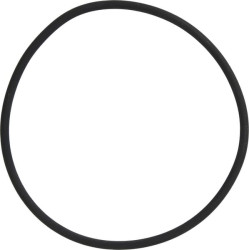 Massey Ferguson 3445CFM 3673222M1 žiedas