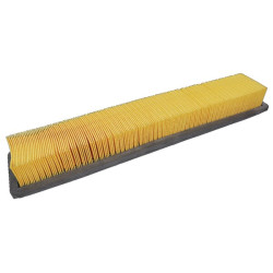 Massey Ferguson 3640 VA208725 oro filtras