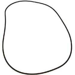 Massey Ferguson 3650 VPJ7345 O žiedas