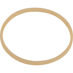 Massey Ferguson 4325 3801053M1 žiedas