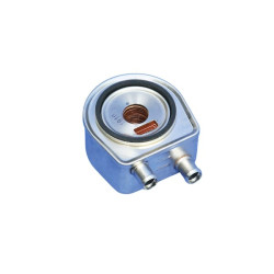 Massey Ferguson 4345 4225199M91N Alyvos aušintuvas