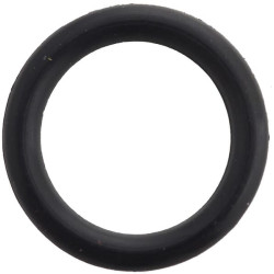 Massey Ferguson 4345 195561M1 O žiedas