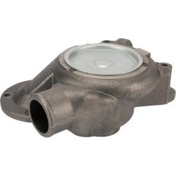 Massey Ferguson 4365 4225392M91KR Vandens siurblys