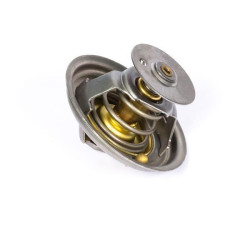 Massey Ferguson 4455 2485C036 termostatas