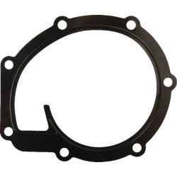 Massey Ferguson 5440 4225204M1 vandens siurblio tarpiklis