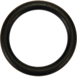 Massey Ferguson 5470 V614602950 Vandens siurblio sandarinimo žiedas