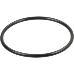 Massey Ferguson 5480 359236X1N O žiedas