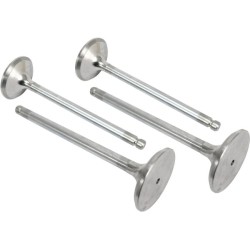 Case - IH Maxxum 125X VPA7310 Išmetimo vožtuvas