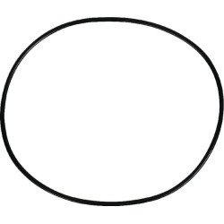 Massey Ferguson 6150 359118X1 Stabdžių sandarinimo žiedas