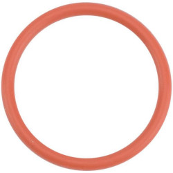 Massey Ferguson 6160 4222713M1 Vandens siurblio O žiedas