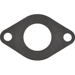 Massey Ferguson 6170 3638698M1 vandens siurblio tarpiklis