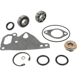 Massey Ferguson 6470 V836762631 Vandens siurblio remonto komplektas