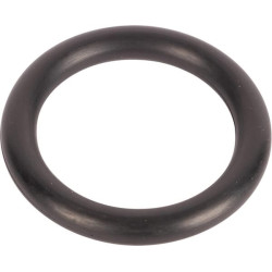 Massey Ferguson 6480 3010466X1 O žiedas