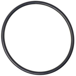 Massey Ferguson 6480 001052823N O žiedas