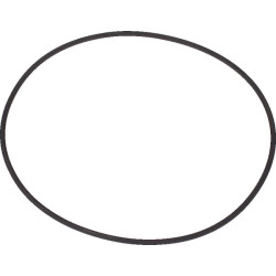 Massey Ferguson 6480 1120700802 O žiedas