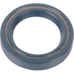 Massey Ferguson 6499 973665M1 žiedas