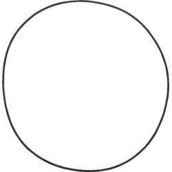 Massey Ferguson 6616 001051037 O žiedas