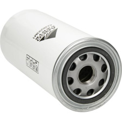 Massey Ferguson 7465 4226293M1 Alyvos filtras