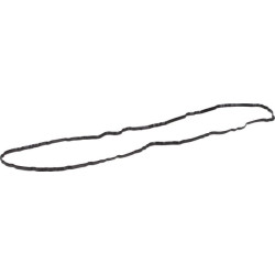 Massey Ferguson 7480 4226712M1 Svirties dangčio tarpiklis