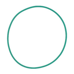 Massey Ferguson 7495 X548989200000 O žiedas