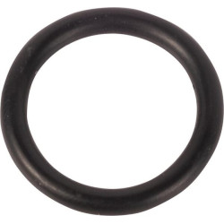 Massey Ferguson 7614 001050037N O žiedas