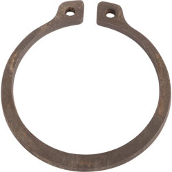 Massey Ferguson 7616 7500601901 žiedas