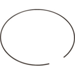 Massey Ferguson 7616 2900601402 žiedas