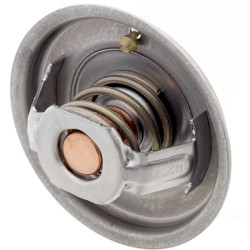 Massey Ferguson 8140 V837084949 termostatas