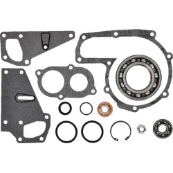 Massey Ferguson 8160 V836340257 Vandens siurblio remonto komplektas