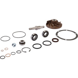 Massey Ferguson 8270 V836862271 Vandens siurblio remonto komplektas