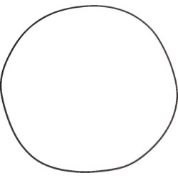 Massey Ferguson 8480 001053338 O žiedas