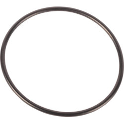 Massey Ferguson 8660 001051620N O žiedas