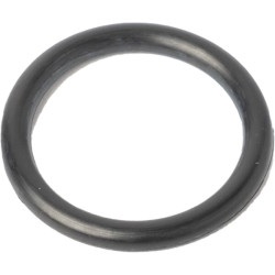 Massey Ferguson 8670 3019396X1 O formos žiedas